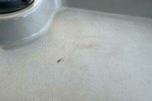 1997 Bayliner 2859 Ciera Express thumbnail 105