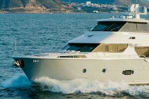 2010 Horizon Enclosed Pilothouse thumbnail 8