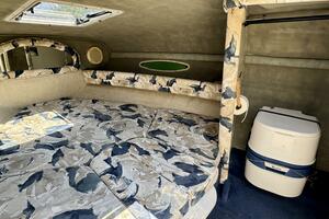 1999 Sea Ray 215 Express Cruiser thumbnail 47
