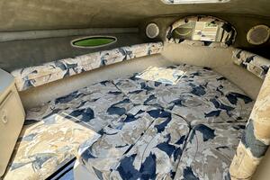 1999 Sea Ray 215 Express Cruiser thumbnail 45