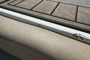 1999 Sea Ray 215 Express Cruiser thumbnail 102