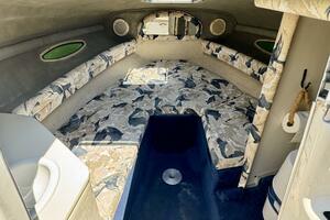 1999 Sea Ray 215 Express Cruiser thumbnail 39