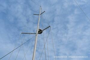 2002 Jeanneau Sun Odyssey 37 thumbnail 9