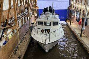 2013 Ocean Sport Roamer thumbnail 2
