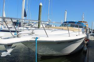 Fuelish Pleasure 50ft Sea Ray Yacht For Sale