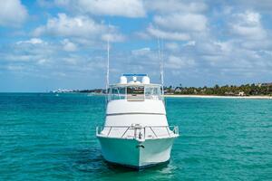 2008 Viking 64 Convertible 20%