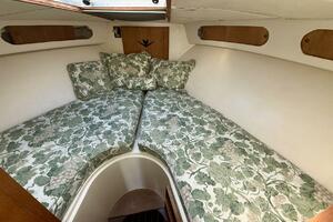 SINE QUA NON 33ft Bertram Yacht For Sale