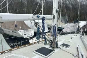 1985 Catalina 36 Tall Rig thumbnail 48