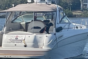 2001 Sea Ray 380 Sundancer thumbnail 55