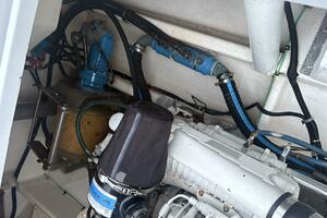 Megalodon 35ft Commercial Yacht For Sale