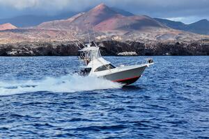 BAD COMPANY 38ft Viking Yacht For Sale
