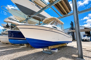 Fishaholics 30ft Grady White Yacht For Sale
