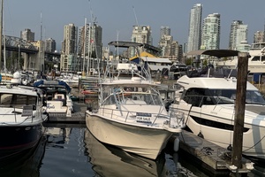 2004 Grady White Express 330 33ft Grady White Yacht For Sale