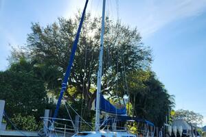 Beta Wave  32ft Catalina Yacht For Sale