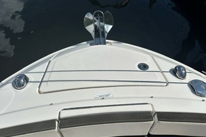 SALES THERAPY 31ft Sea Ray Yacht For Sale