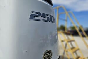 Photo 5945611 for 2022 Stingray 231  