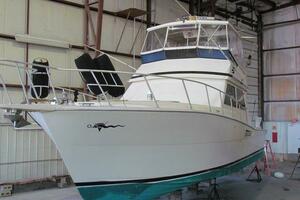 Photo 5939642 for 1988 Viking 45 Convertible  