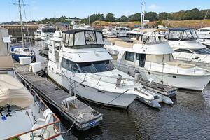 Still Not My Fault 39ft Carver Yacht For Sale