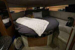 2008 Chaparral 350 Signature thumbnail 55