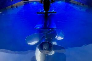 23ft Correct Craft Yacht For Sale