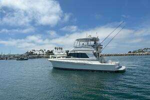 2002 Riviera 43 Flybridge thumbnail 19
