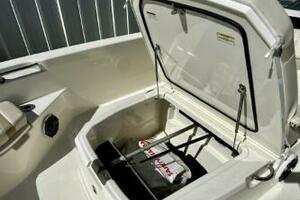 2023 Boston Whaler 250 Dauntless thumbnail 14