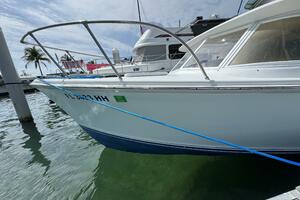 Last Pitch 31ft Bertram Yacht For Sale