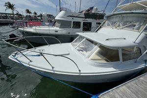 Last Pitch 31ft Bertram Yacht For Sale