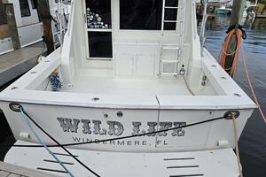 Wild Life 45ft Viking Yacht For Sale