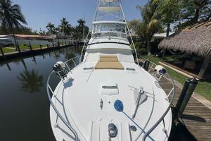 LAID BACK 46ft Bertram Yacht For Sale