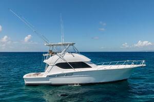 50FT (15.24M) HATTERAS