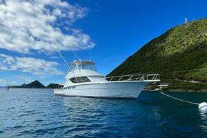 2005 Hatteras 50 Convertible thumbnail 8