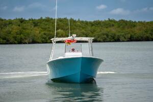 29ft C Hawk Yacht For Sale