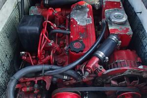 Picture of Wanderin' Star