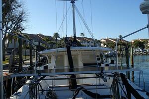 Picture of Wanderin' Star