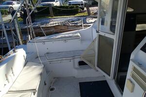 Picture of Wanderin' Star