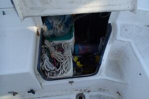 Picture of Wanderin' Star