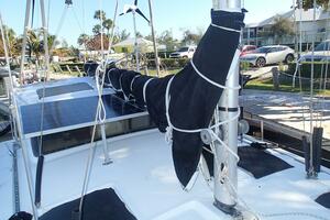 Picture of Wanderin' Star