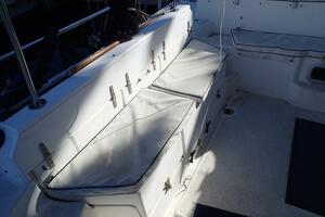 Picture of Wanderin' Star