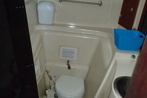 Picture of Wanderin' Star