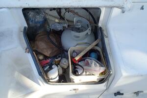 Picture of Wanderin' Star