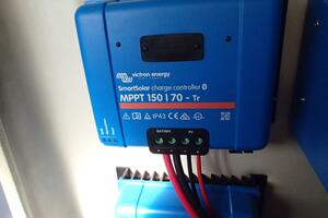 Picture of Wanderin' Star