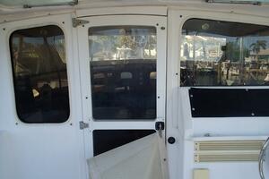 Picture of Wanderin' Star