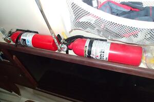 Picture of Wanderin' Star