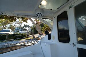 Picture of Wanderin' Star