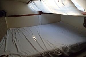 Picture of Wanderin' Star