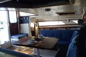 Picture of Wanderin' Star