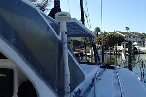 Picture of Wanderin' Star