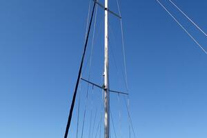 Picture of Wanderin' Star