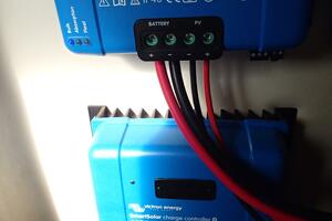 Picture of Wanderin' Star